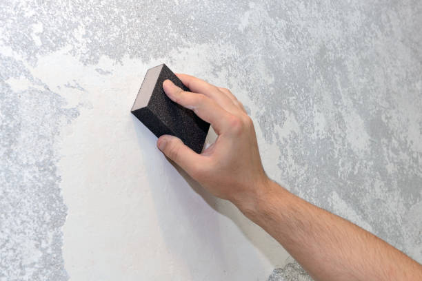 Best Biohazard Mold Removal  in St Paul, TX