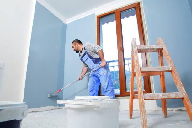 Best Emergency Mold Remediation  in St Paul, TX