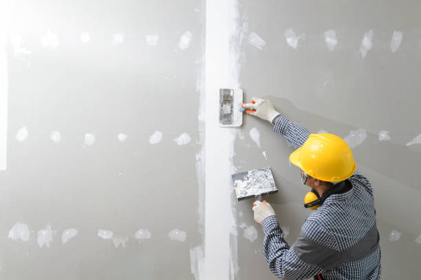 Best Mold Remediation for Rental Properties  in St Paul, TX