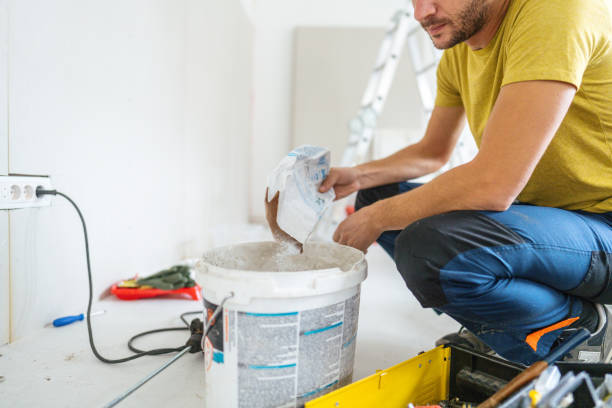 Best Forensic Mold Investigation  in St Paul, TX