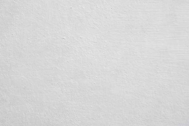 St Paul, TX Mold Removal Company