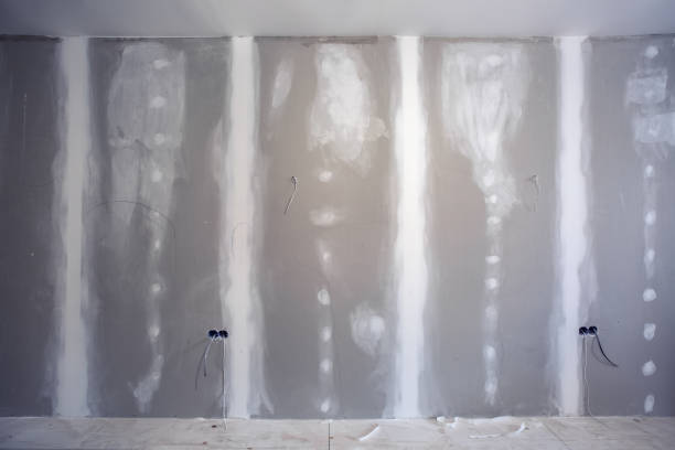  St Paul, TX Mold Removal Pros